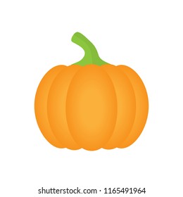 Orange pumpkin vector illustration. Autumn halloween or thanksgiving pumpkin, vegetable graphic icon or print, isolated.