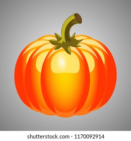 Orange pumpkin vector illustration. Autumn halloween pumpkin, vegetable graphic icon or print, isolated on gray background. Vector illustration EPS 10