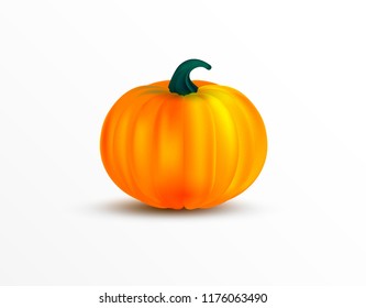 Orange pumpkin vector illustration. Autumn halloween or thanksgiving pumpkin, vegetable graphic icon isolated on white background.