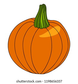 Orange pumpkin vector illustration. Autumn halloween pumpkin, vegetable graphic icon or print, isolated on white background.