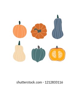Orange pumpkin vector illustration. Autumn  pumpkin, vegetable graphic icon or print on white background. 