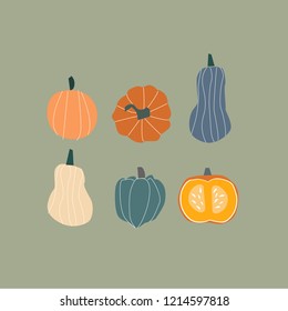 Orange pumpkin vector illustration. Autumn  pumpkin, vegetable graphic icon or print . 