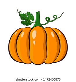 Orange pumpkin vector illustration. Autumn halloween pumpkin, vegetable graphic icon in flat style, isolated on white background.