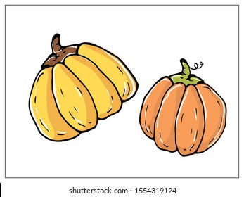 Orange pumpkin, vector illustration. Autumn halloween or thanksgiving pumpkin, vegetable graphic icon or print, isolated.