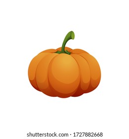 Orange pumpkin vector illustration. Autumn halloween pumpkin, vegetable graphic icon or print, isolated on white background.