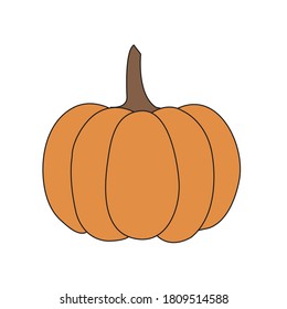 Orange pumpkin vector illustration. Autumn halloween pumpkin, vegetable graphic icon or print, isolated on white background.