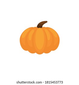 Orange pumpkin vector illustration. Autumn halloween pumpkin, vegetable graphic icon or print, isolated on white background. esp