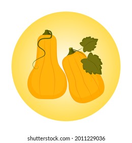 Orangefarbene Kürbis, Vektorgrafik. Herbsthalloween, Thanksgiving Kürbis, Gemüse- oder Kosmetikdesign.