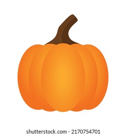 Orange pumpkin vector illustration