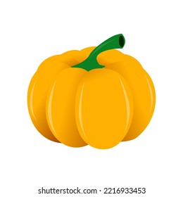 Orange pumpkin vector illustration. Autumn halloween pumpkin, vegetable graphic icon, isolated on white background.
