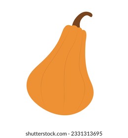 Orange Pumpkin vector illustration. Autumn Halloween pumpkin, vegetable graphic icon or print isolated on white background