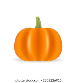 Ilustración vectorial de calabaza naranja. Calabaza de halloween de otoño, icono gráfico vegetal o impresión aislada en fondo blanco. Halloween de otoño o calabaza de acción de gracias. Ilustración del vector