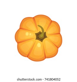 Orange pumpkin vector illustration. Autumn halloween vegetable.