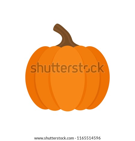 Orange pumpkin vector illustration. Autumn halloween or thanksgiving pumpkin, vegetable graphic icon or print, isolated.