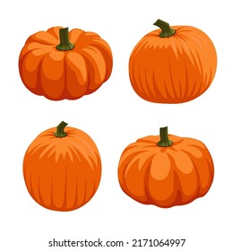 Orange pumpkin vector illustration in cartoon style. Pumpkin for thanksgiving on white background. Autumn fruit. Harvest. Isolated.