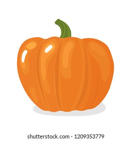 Orange pumpkin vector illustration. Halloween or thanksgiving pumpkin. Autumn vegetable graphic icon isolated on white background.