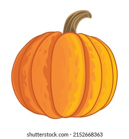 Orange pumpkin, vector illustration isolated on white