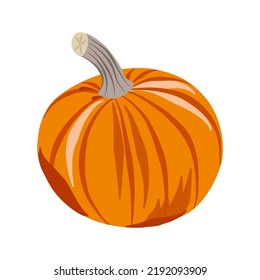 Orange pumpkin, vector illustration isolated on white background. Ripe yellow pumpkin round shape, striped, brown stem. Color drawing for poster, banner, print, greeting card, Thanksgiving holiday.
