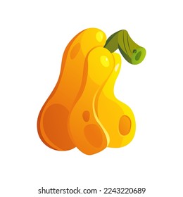 Orange Pumpkin vector illustration. Isolated on a white background. Organic fresh healthy food.
