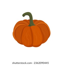 Orange Pumpkin Vector Illustration Logo