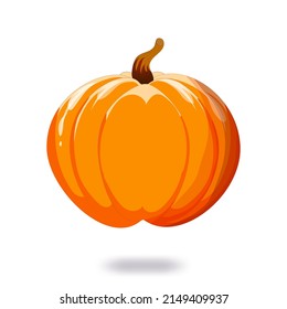 Orange pumpkin. Vector illustration. On a white background. Vegetarian vegetables, holiday cards, printing on fabric and paper.