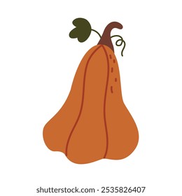 orange pumpkin. vector illustration of pumpkin on white background