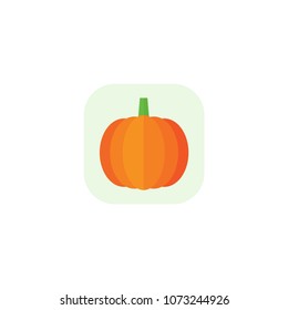Orange pumpkin, vector illustration, product.