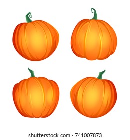 Orange pumpkin vector illustration Set. Autumn halloween or thanksgiving pumpkin, vegetable graphic icon or print, isolated on white background.