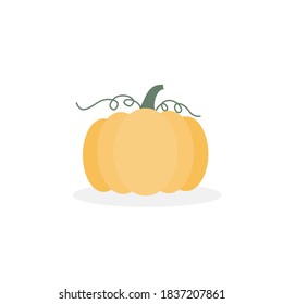 Orange pumpkin vector illustration. Vegetable graphic icon isolated on white background. 