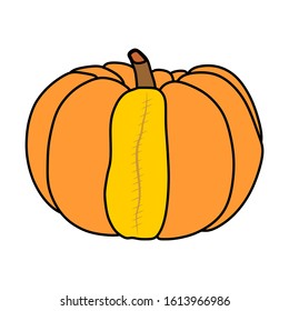 Orange pumpkin vector illustrationwith a trendy style