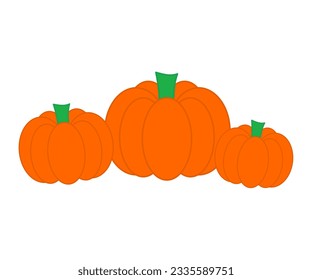 Orange pumpkin vector isolated on a white background.