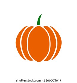 orange pumpkin vector on white background