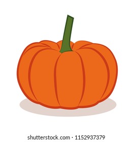 orange pumpkin vegetable autumn graphic vector illustration EPS10