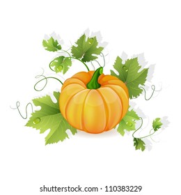 Orange pumpkin vegetable with green leaves