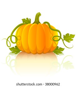 orange pumpkin vegetable with green leaves - vector illustration of object isolated on white background