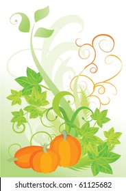 orange pumpkin vegetable with green leaves autumn vector illustration on white background