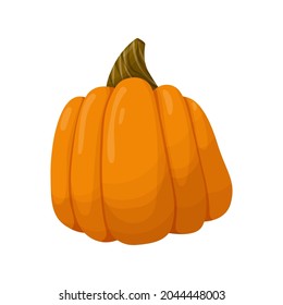 Orange pumpkin. Vegetable illustration isolated on white background.