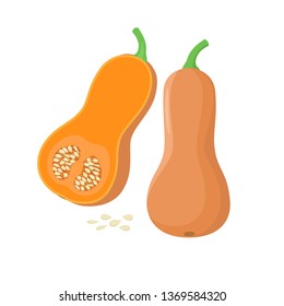 Orange pumpkin vegetable isolated on white background. Cucurbita moschata  fruit vector illustration in flat design. Butternut squash cut piece.