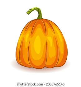 orange pumpkin. Vegetable. The main symbol of the holiday is Halloween. Vector illustration isolated on white background.