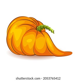 orange pumpkin. Vegetable. The main symbol of the holiday is Halloween. Vector illustration isolated on white background.