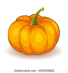 orange pumpkin. Vegetable. The main symbol of the holiday is Halloween. Vector illustration isolated on white background.