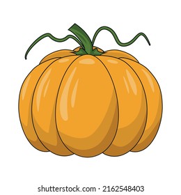 Orange pumpkin, vegetables cartoon drawing simple design. Vector image