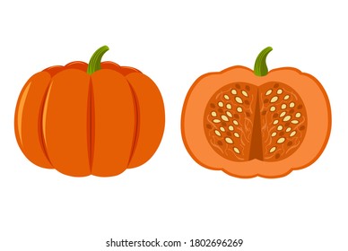 Orange pumpkin, whole and half. Pumpkin isolated on a white background. Stock vector illustration. Illustration for the holiday Halloween and Thanksgiving.