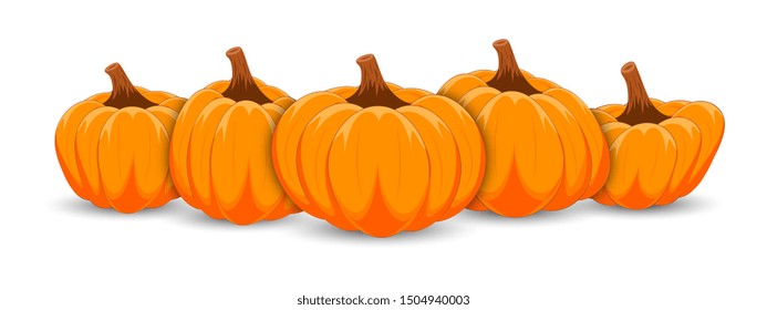 Orange pumpkins banner on white background. Thanksgiving day background with orange pumpkin. Vector illustration.