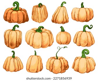 Orange pumpkins drawn and pastel pencils  Vector illustration