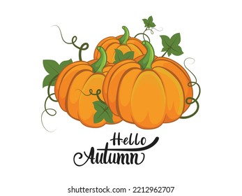 Orange pumpkins with green leaves and curly stems and hand written lettering quote Hello autumn. Autumn halloween or thanksgiving pumpkins.