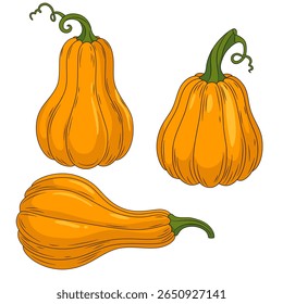 Orange pumpkins with green stems. Cozy autumn elements for Fall, Thanksgiving and Halloween designs. Cartoon vector art