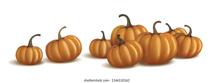 Orange pumpkins isolated on white and on black. Realistic vector pumpkins.