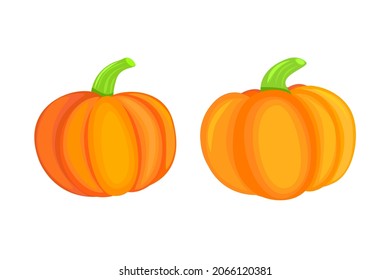 Calabazas naranjas aisladas en fondo blanco. Estilo de dibujos animados vectores.
