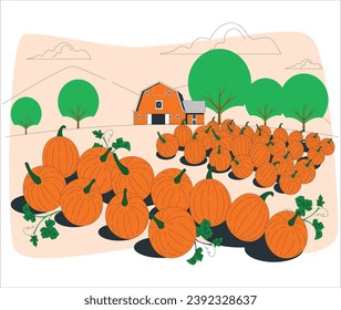 orange pumpkins at outdoor farmer market. pumpkin patch. Old farm house by Pumpkin Patch in Oregon during fall harvest season. traditional pumpkin patch. Holiday pumpkin picking on ground. 2475